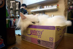 217 Cafe IMG_2930
