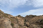 向南角咀方向 IMG_5068
