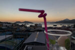 Lyche Mojito IMG_4478