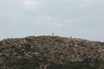 IMG_6698
