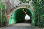 綠色隧道, 出博愛 IMG_1155