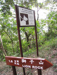 大狗呀大狗 IMG_0983