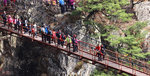 IMG_8855_banner