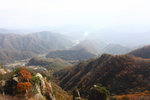真係 local highest. IMG_8866