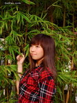 fai1004-bee7
