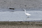 IMG_2851