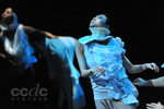 CCDC Happily N_ever After - from CCDC