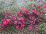 CIMG1906