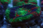 IMG_6681