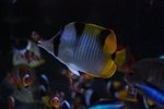 IMG_5865