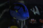 IMG_5866