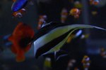 IMG_5868