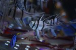 IMG_5876
