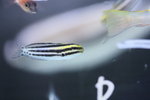 IMG_7147
