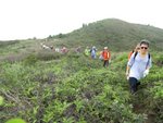 IMG_1351