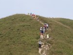 DSC07276