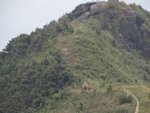 DSC07279