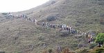 IMG_0581