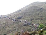 IMG_0582