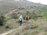 IMG_0584