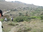 IMG_0585