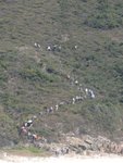 DSC00615