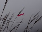DSC01053