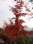 DSC08776