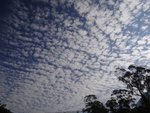 DSC07019