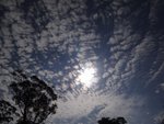 DSC07021