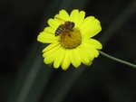 IMG_5626