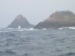 IMG_1714