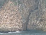 IMG_1744