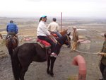 新疆南山牧場