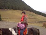 新疆南山牧場