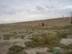 DSC03429