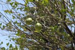 IMG_1546