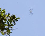 IMG_1558