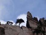 DSC04999