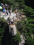 DSC05016