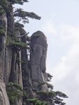 DSC05201