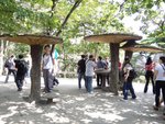 DSC05202