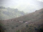 DSC02101
