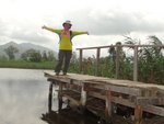 DSC02339