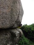 DSC02540