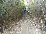 DSC04696
