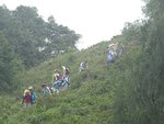 DSC06794