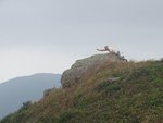 DSC06812