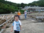 DSC02170