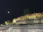 IMG_1949